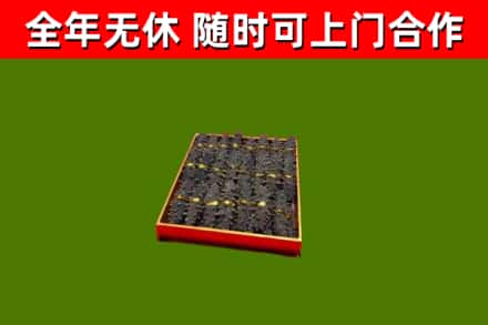 运河回收海参